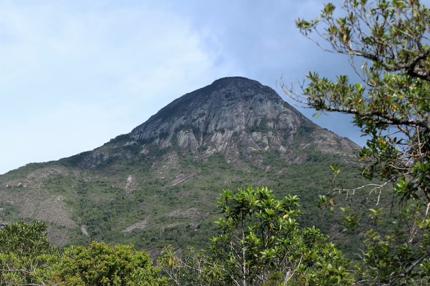Face rochosa e arredondada do Pico do Forno Grande vista de dentro do parque, emoldurada por árvores