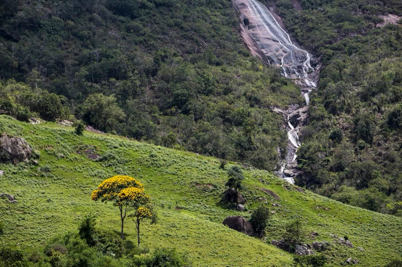 Queda d'água escorrendo por uma laje de rocha na encosta coberta de mata do maciço do Forno Grande