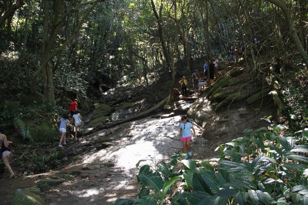 Trilheiros subindo a trilha do Morro da Urca entre árvores, sobre raízes e pedras