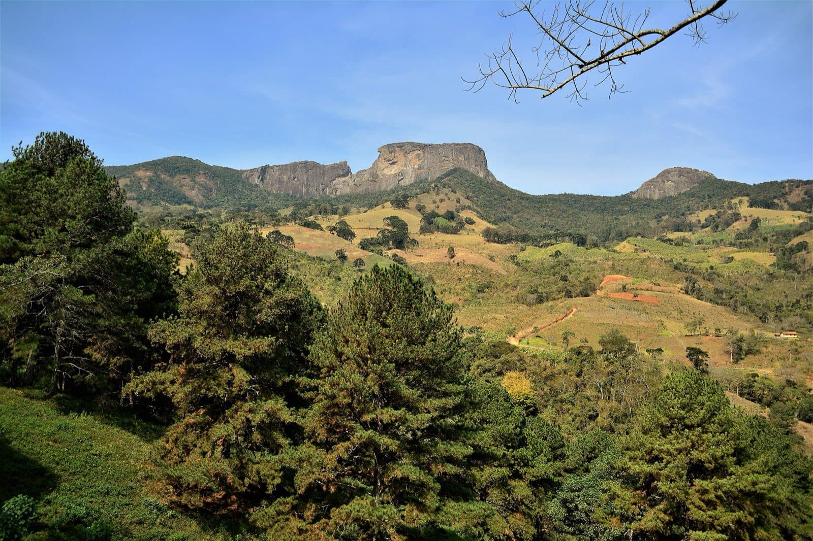 Complexo do Baú visto de longe, com Bauzinho, Pedra do Baú e Ana Chata alinhados sobre a serra, entre pinheiros