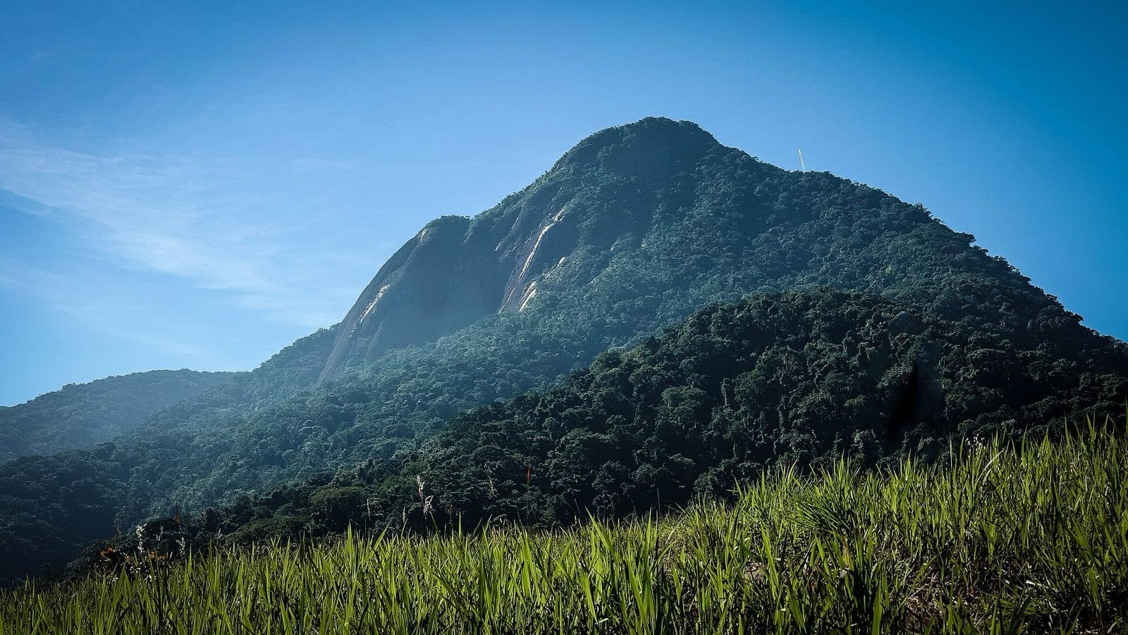 Pico do Baepi visto de baixo, com o paredão de rocha exposta na face voltada para o canal e a encosta coberta de mata