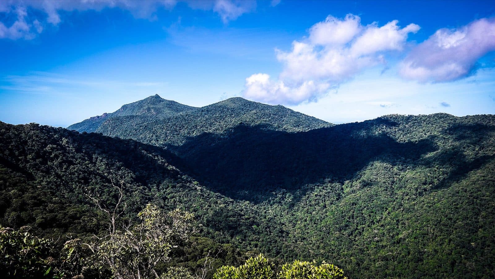 Montanhas cobertas de Mata Atlântica no interior de Ilhabela, vistas do cume do Baepi