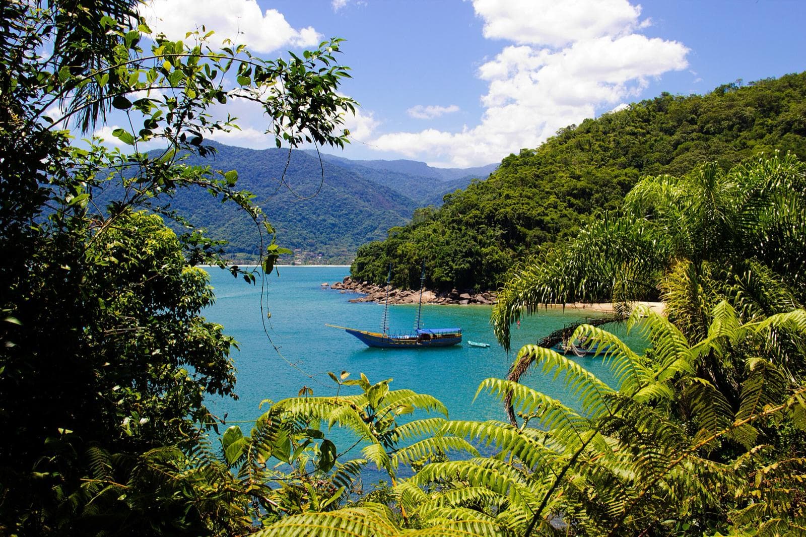 Enseada da Praia do Bonete, em Ubatuba, com água azul-turquesa e um saveiro ancorado, vista entre samambaias da trilha