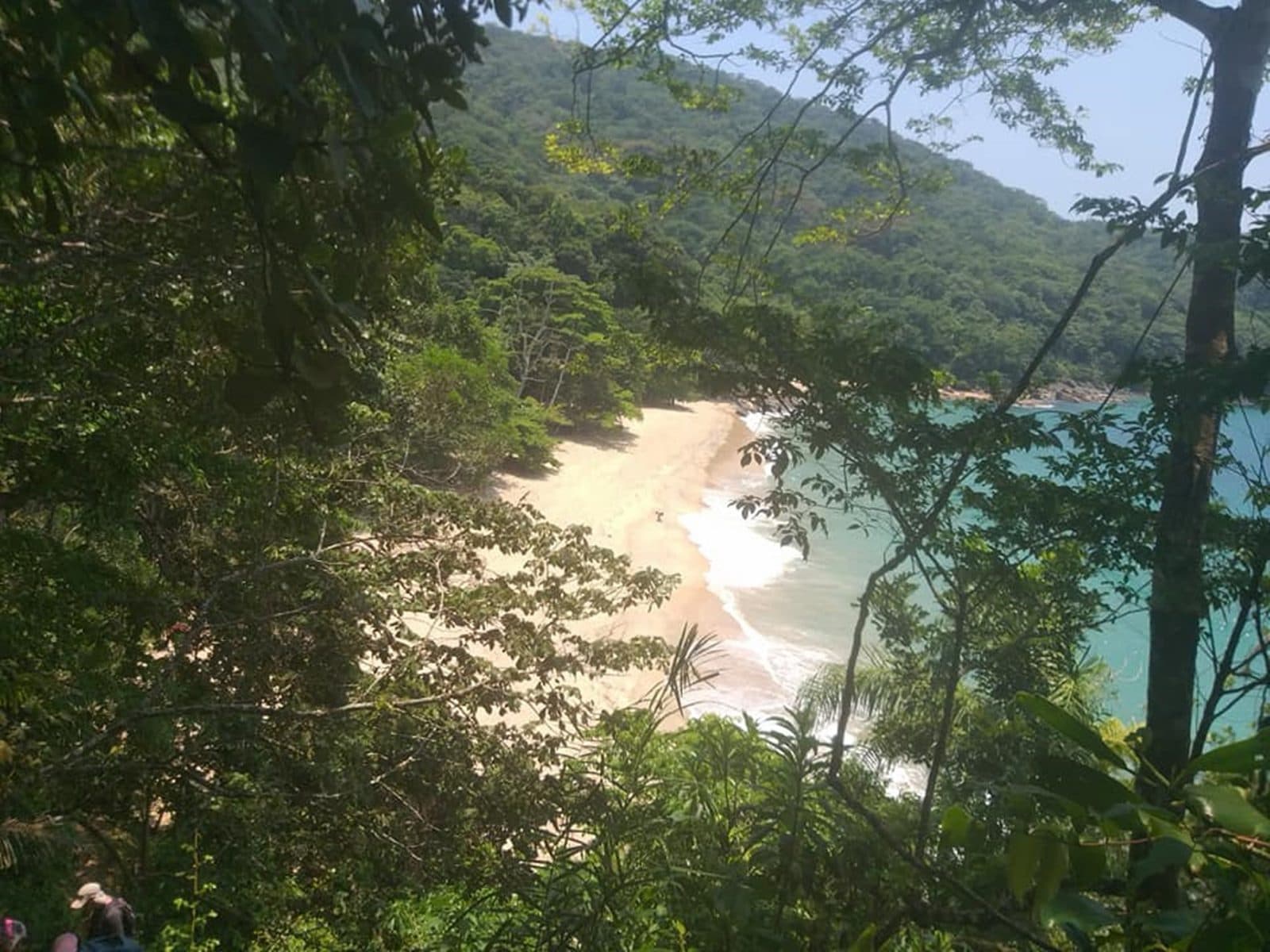 Praia do Deserto vista do alto, entre galhos da mata, com areia clara e mar verde