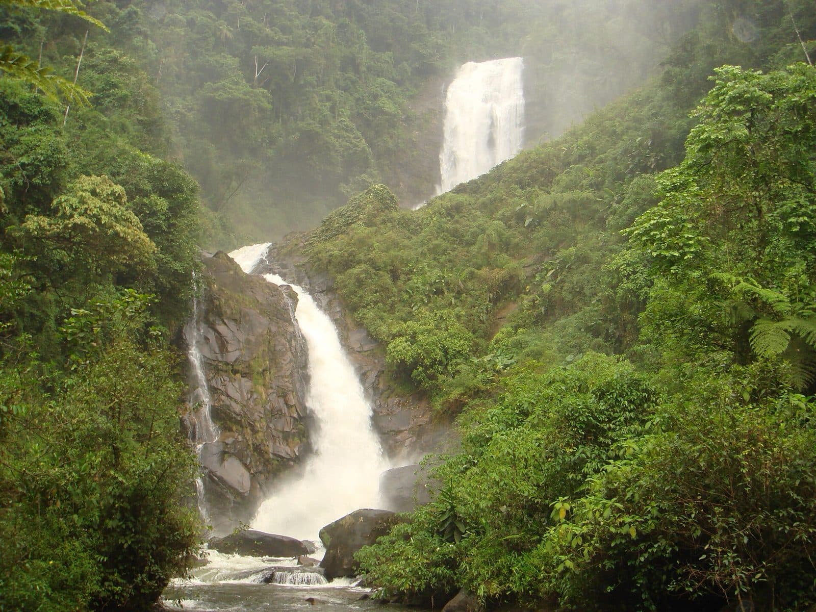 Cachoeira do Veado, com duas quedas brancas descendo entre paredões de Mata Atlântica na Serra da Bocaina