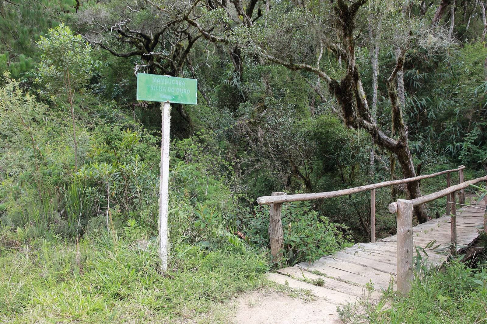 Placa verde 'Mambucaba – Trilha do Ouro' ao lado de uma ponte de madeira no Parque Nacional da Serra da Bocaina