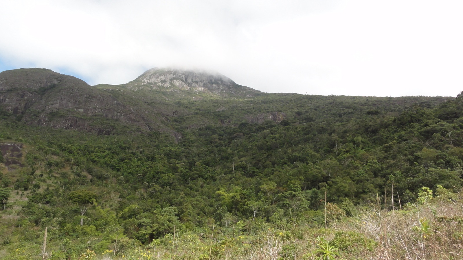 Pico do Forno Grande com o topo encoberto por nuvens, acima de uma encosta coberta de mata