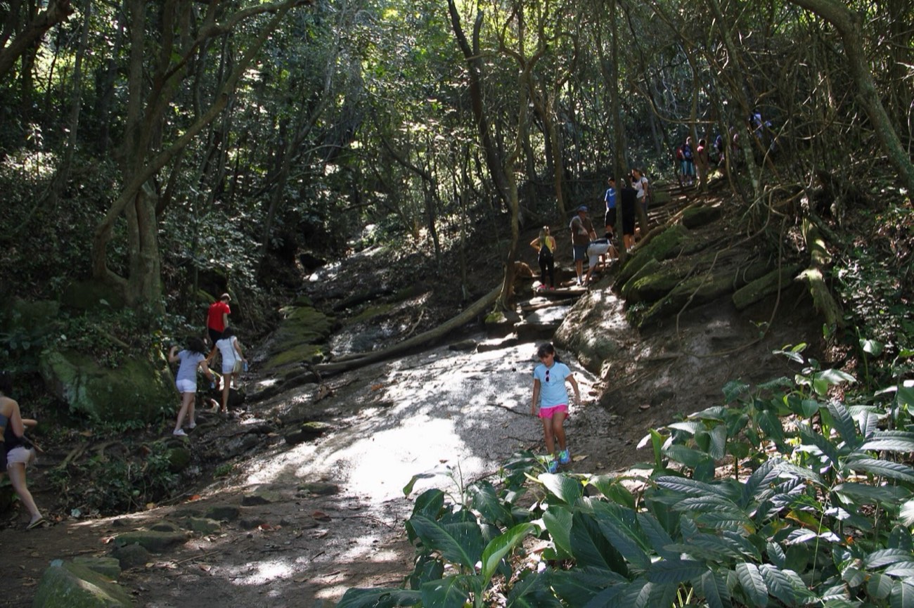 Trilheiros subindo a trilha do Morro da Urca na mata