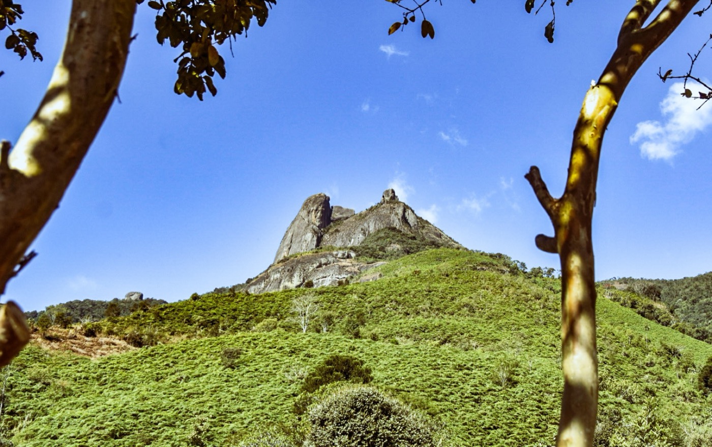 A Pedra Selada vista da trilha, entre troncos de árvores